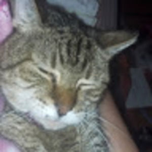 Meet your Posher, Becca